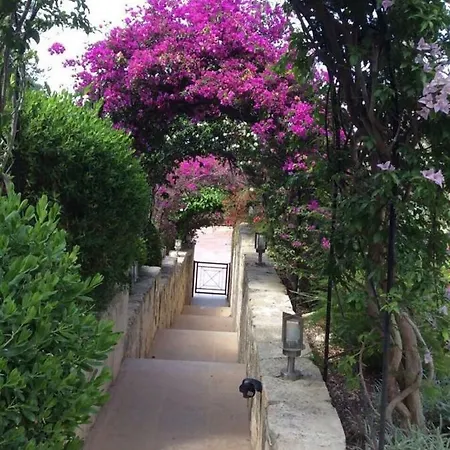 Villa Neo Chorio